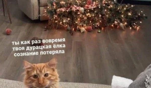 Новогодние мемы