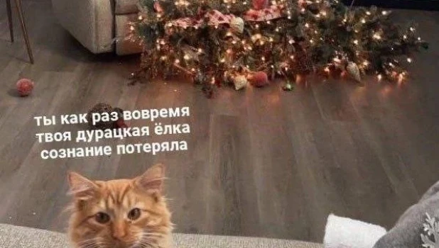 Новогодние мемы
