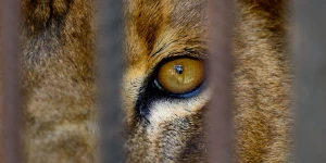 Фото 2025 года