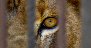 Фото 2025 года