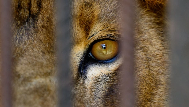 Фото 2025 года