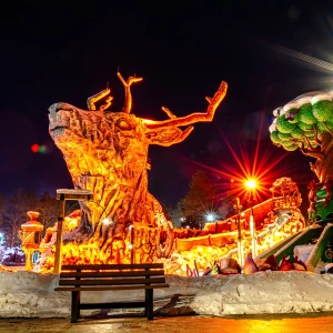 В Республике Алтай открывается ослепительный парк приключений «Дримвуд»