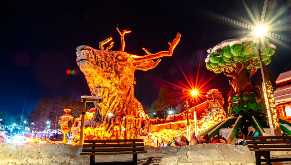 В Республике Алтай открывается ослепительный парк приключений «Дримвуд»