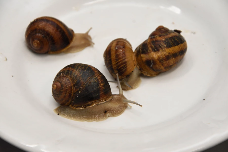 Ученый АлтГТУ. Наука. Лаборатория