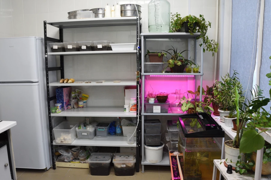 Ученый АлтГТУ. Наука. Лаборатория