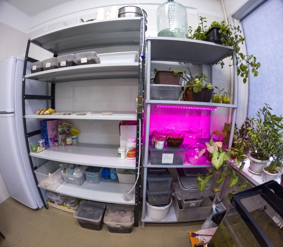 Ученый АлтГТУ. Наука. Лаборатория