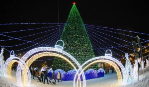 Открытие новогодней елки на пл. Свободы.