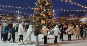 Новогодние городки в Барнауле. 
