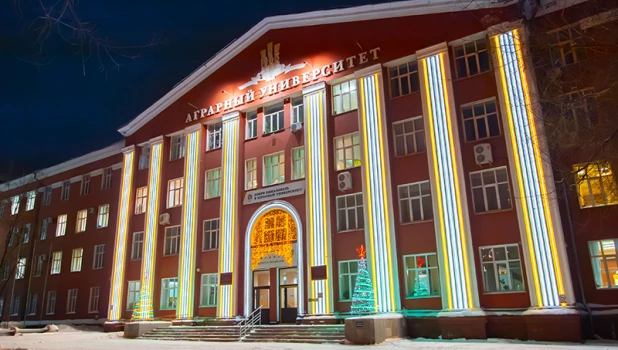 Алтайский государственный аграрный университет украсили гирляндами и световыми конструкциями.
