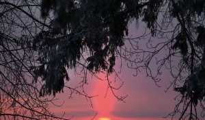 Рассвет в Барнауле 1 января 2025 года.