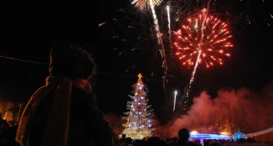 Новогодняя елка в Барнауле.