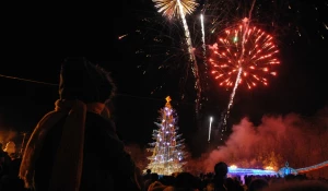 Новогодняя елка в Барнауле.