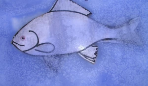 Конкурс Зимний двор в Барнауле, 2005 год.