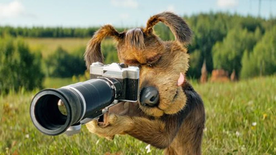 Фильм "Простоквашино".