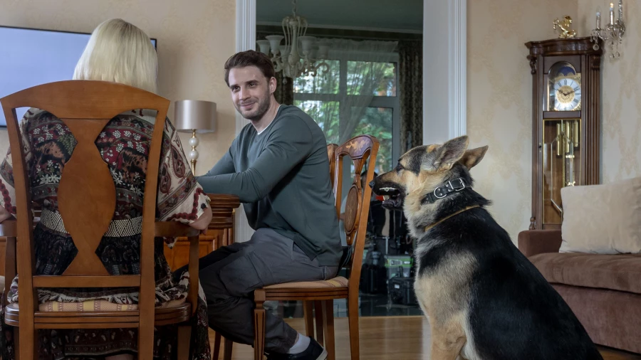 Сериал "Мухтар. Он вернулся".