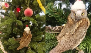 Фрай на елке. 