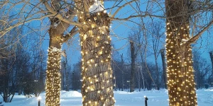 В Изумрудном парке на Новый год