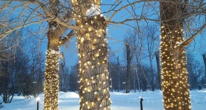 В Изумрудном парке на Новый год