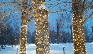 В Изумрудном парке на Новый год