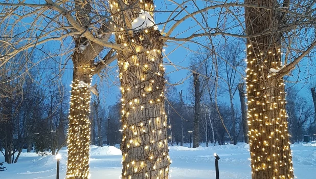 В Изумрудном парке на Новый год