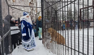 За 1 января 2026 года 495 человек посетили Барнаульский зоопарк.