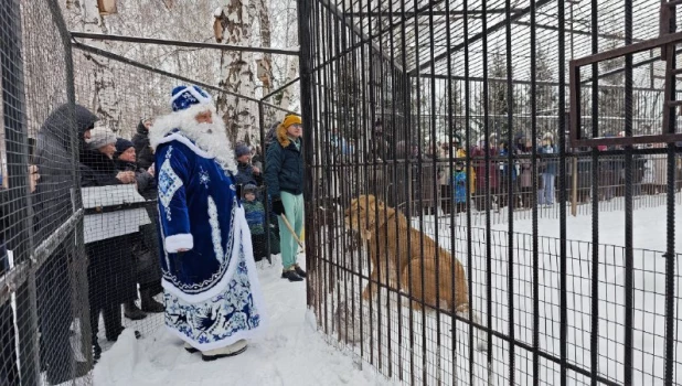 За 1 января 2026 года 495 человек посетили Барнаульский зоопарк.