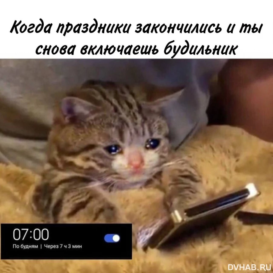 Мемы про праздники