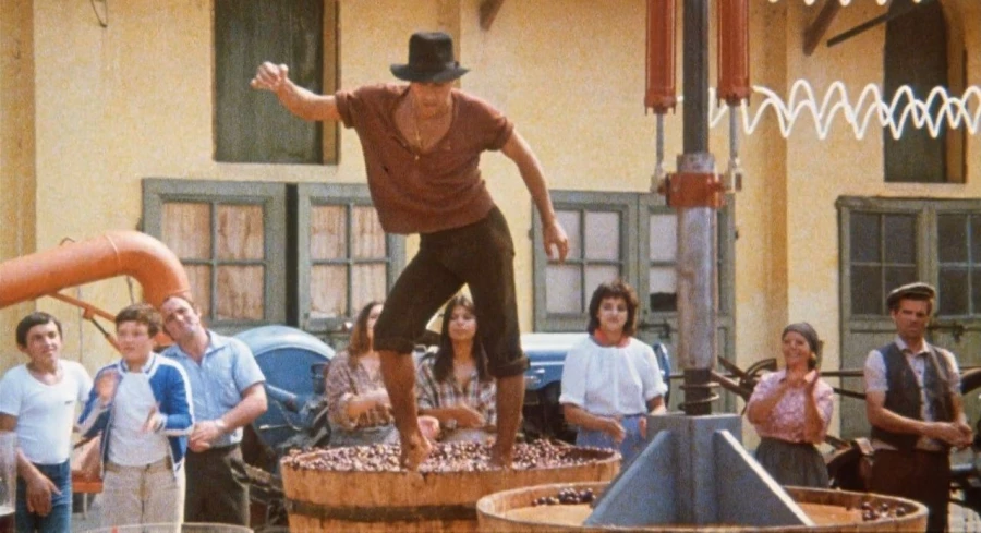 "Укрощение строптивого".