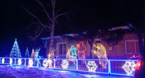 В алтайском селе домашний двор превратили в настоящую сказку. 