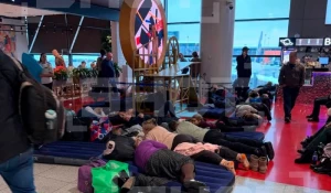Пассажиры разложили матрасы в Шереметьево. 