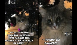 Мемы про конец новогодних выходных.