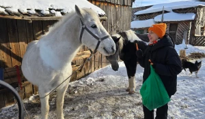 Алтайские спасатели будут искать людей на лошадях.