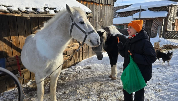 Алтайские спасатели будут искать людей на лошадях.