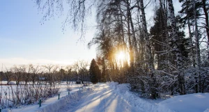 Снег. Зима в Барнауле. Сугробы. Мороз. Дендрарий