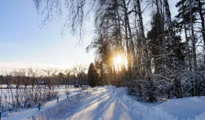 Снег. Зима в Барнауле. Сугробы. Мороз. Дендрарий