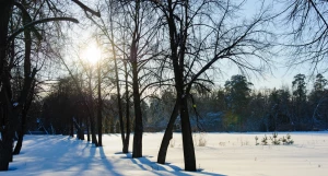 Снег. Зима в Барнауле. Сугробы. Мороз. Дендрарий