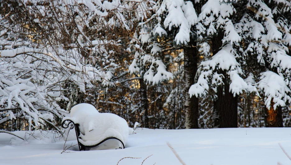 Снег. Зима в Барнауле. Сугробы. Мороз. Дендрарий