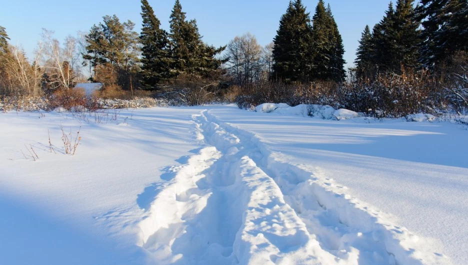 Снег. Зима в Барнауле. Сугробы. Мороз. Дендрарий