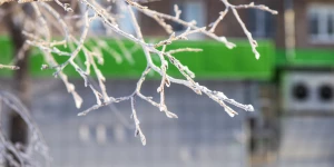 Аномальные морозы в Барнауле, январь 2026. 