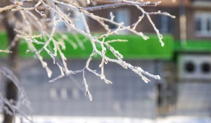 Аномальные морозы в Барнауле, январь 2026. 