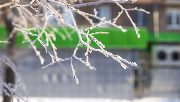 Аномальные морозы в Барнауле, январь 2026. 