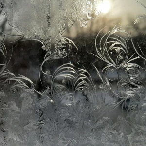 Мороз. Зима.