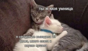 Мемы про объятия.