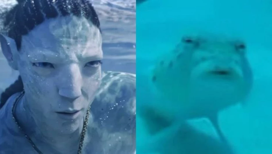 Мемы про кино.