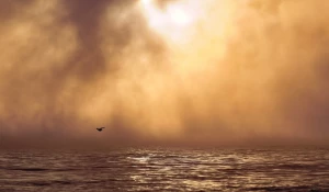 Туман над Телецким озером. 