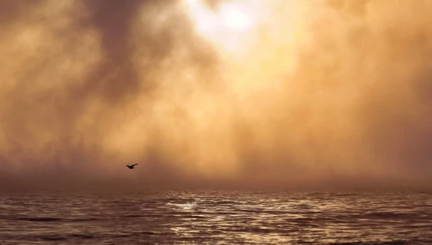 Туман над Телецким озером. 