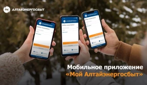 «Алтайэнергосбыт» предлагает оплачивать электроэнергию быстро и без комиссии.