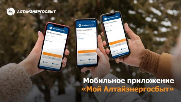 «Алтайэнергосбыт» предлагает оплачивать электроэнергию быстро и без комиссии.