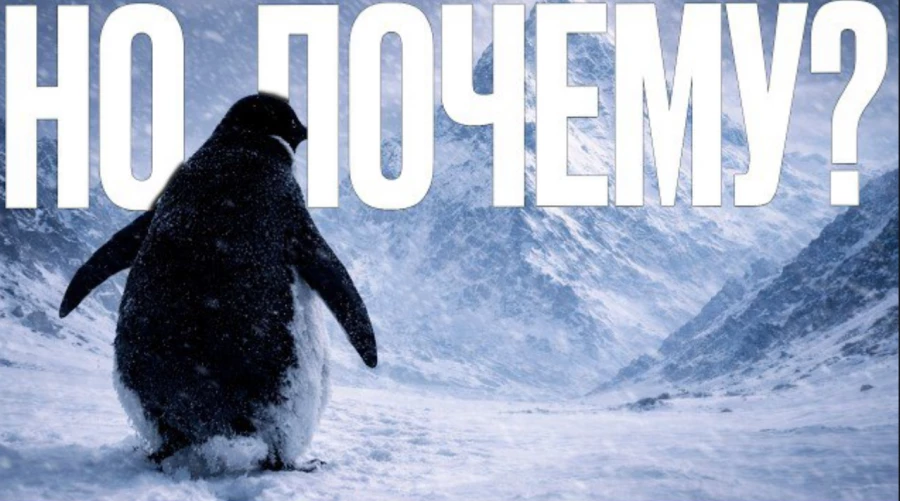 Пингвин-нигилист.