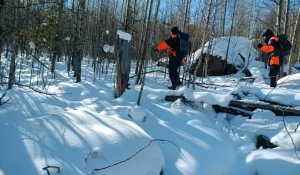 Место поисков семьи Усольцевых.